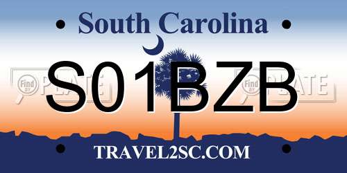 S01BZB South Carolina License Plate
