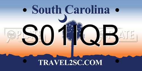 S01IQB South Carolina License Plate