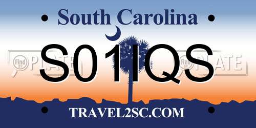 S01IQS South Carolina License Plate