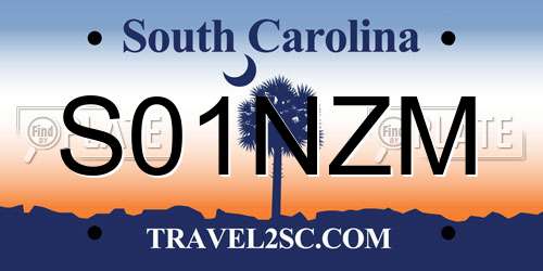 S01NZM South Carolina License Plate