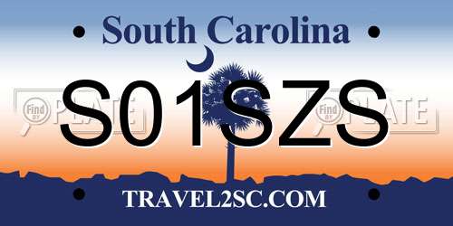 S01SZS South Carolina License Plate