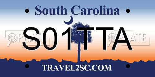 S01TTA South Carolina License Plate