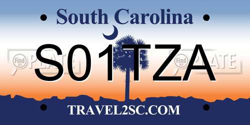 S01TZA South Carolina License Plate