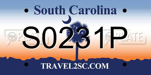 S0231P South Carolina License Plate