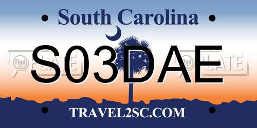 S03DAE South Carolina License Plate