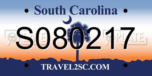 S080217 South Carolina License Plate