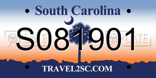 S081901 South Carolina License Plate