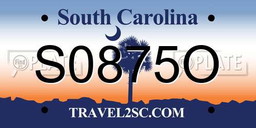 S0875O South Carolina License Plate