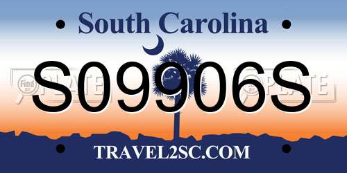 S09906S South Carolina License Plate
