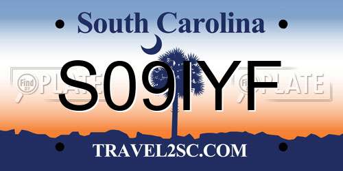 S09IYF South Carolina License Plate