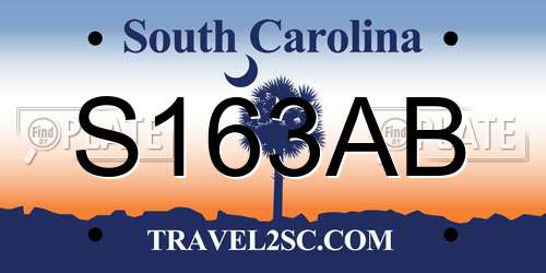 S163AB South Carolina License Plate