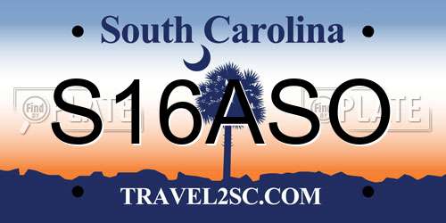S16ASO South Carolina License Plate