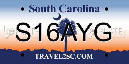 S16AYG South Carolina License Plate