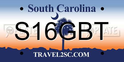 S16GBT South Carolina License Plate