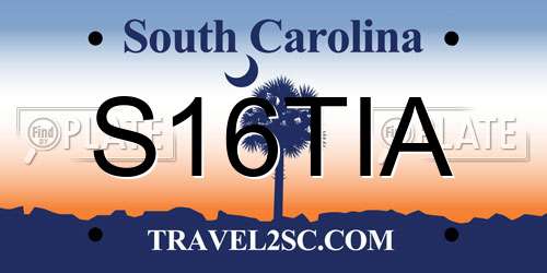 S16TIA South Carolina License Plate