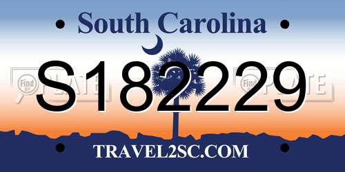 S182229 South Carolina License Plate