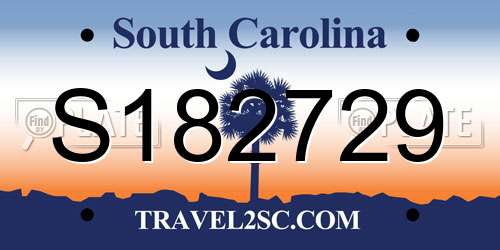 S182729 South Carolina License Plate