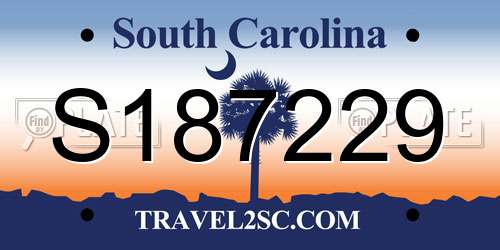 S187229 South Carolina License Plate
