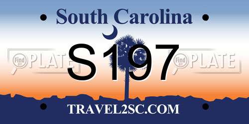 S197 South Carolina License Plate