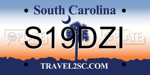 S19DZI South Carolina License Plate