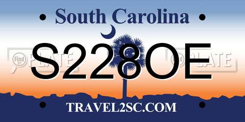 S228OE South Carolina License Plate