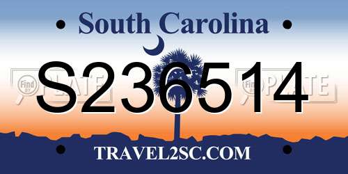 S236514 South Carolina License Plate