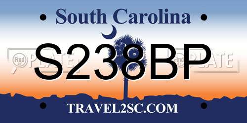 S238BP South Carolina License Plate