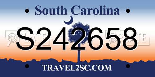 S242658 South Carolina License Plate