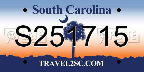 S251715 South Carolina License Plate