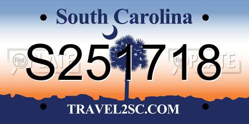 S251718 South Carolina License Plate
