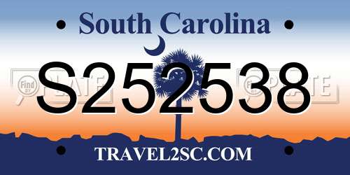 S252538 South Carolina License Plate