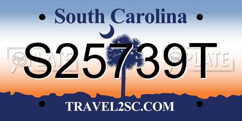 S25739T South Carolina License Plate