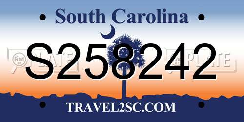 S258242 South Carolina License Plate