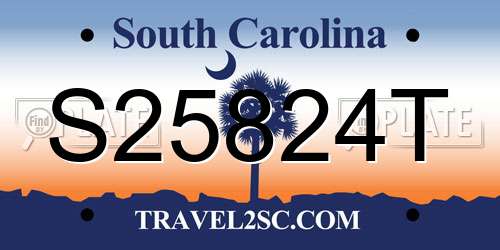 S25824T South Carolina License Plate
