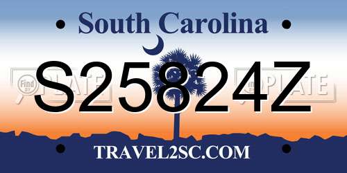 S25824Z South Carolina License Plate