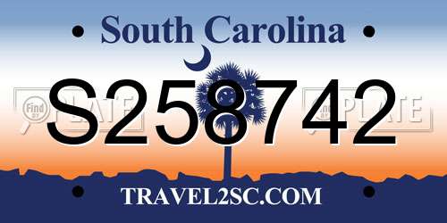 S258742 South Carolina License Plate