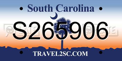 S265906 South Carolina License Plate