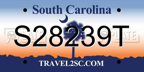 S28239T South Carolina License Plate