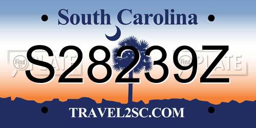 S28239Z South Carolina License Plate