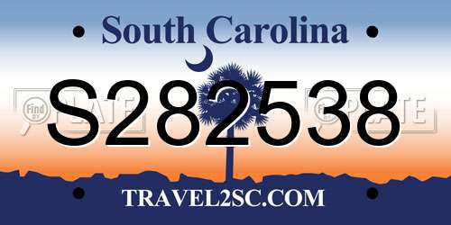 S282538 South Carolina License Plate