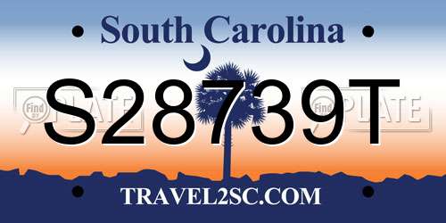 S28739T South Carolina License Plate