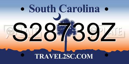 S28739Z South Carolina License Plate
