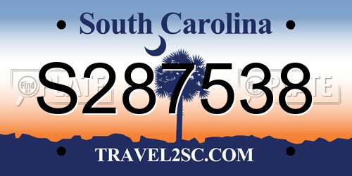 S287538 South Carolina License Plate