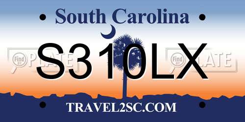 S310LX South Carolina License Plate