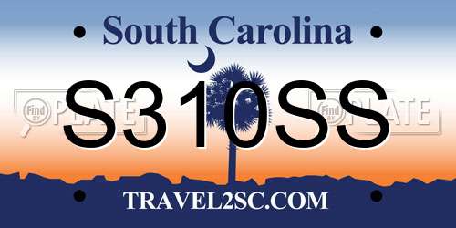 S310SS South Carolina License Plate