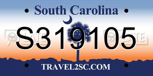 S319105 South Carolina License Plate