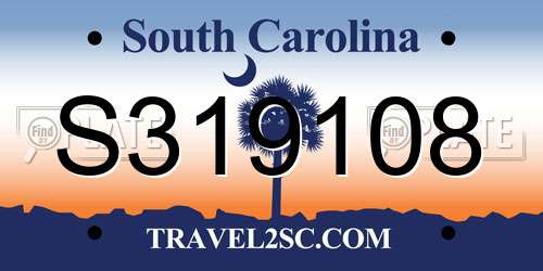 S319108 South Carolina License Plate