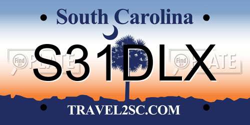 S31DLX South Carolina License Plate