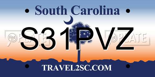 S31PVZ South Carolina License Plate