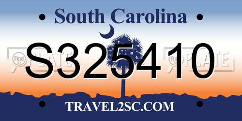 S325410 South Carolina License Plate